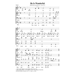 He is Wonderful - PDF Song Sheet