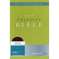 NIV Thinline Bible Navy Bonded Leather B5002